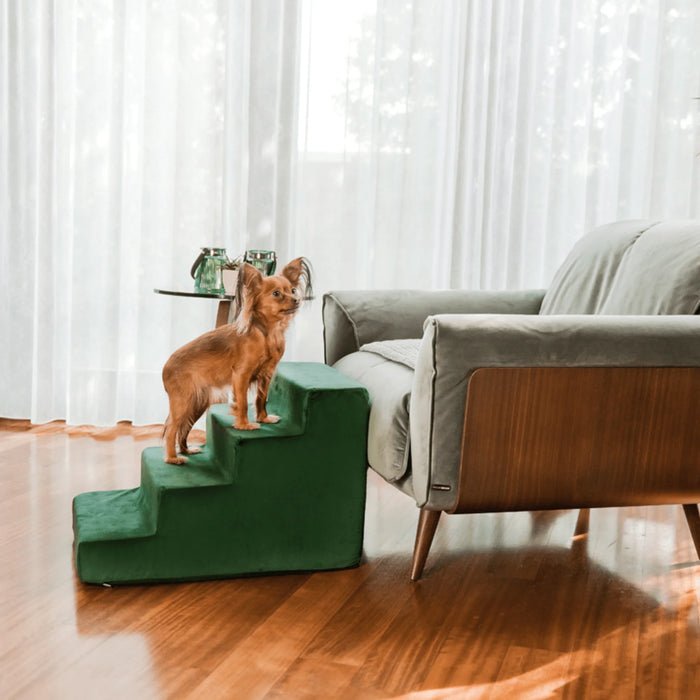 Dog stairs Atlanta - Green - 30/40cm