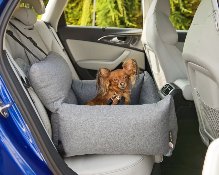 Hugo - Autostoel voor honden