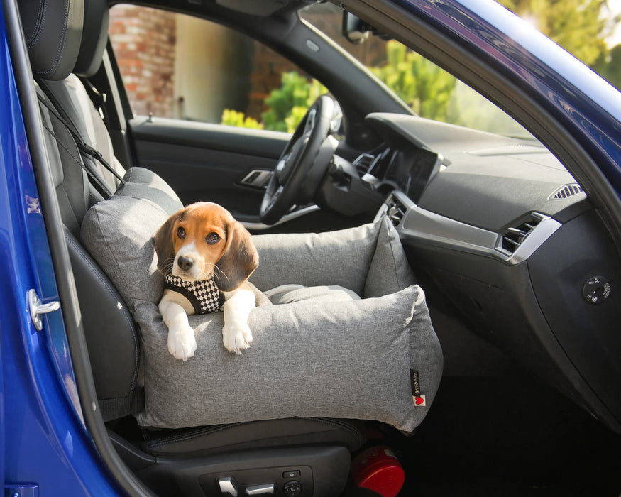 Hugo - Autostoel voor honden