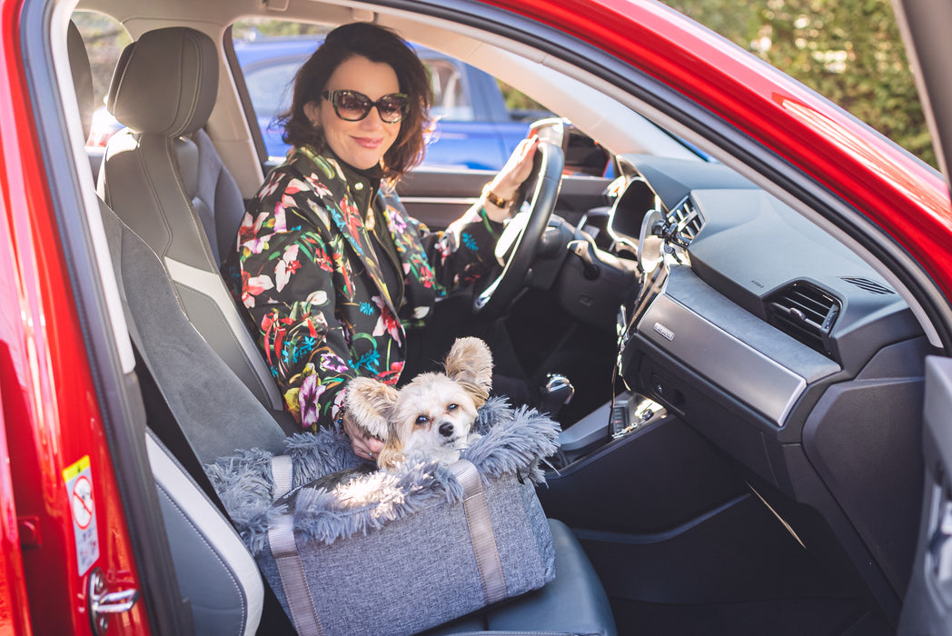 Locky Mini - Autostoel & draagtas voor honden