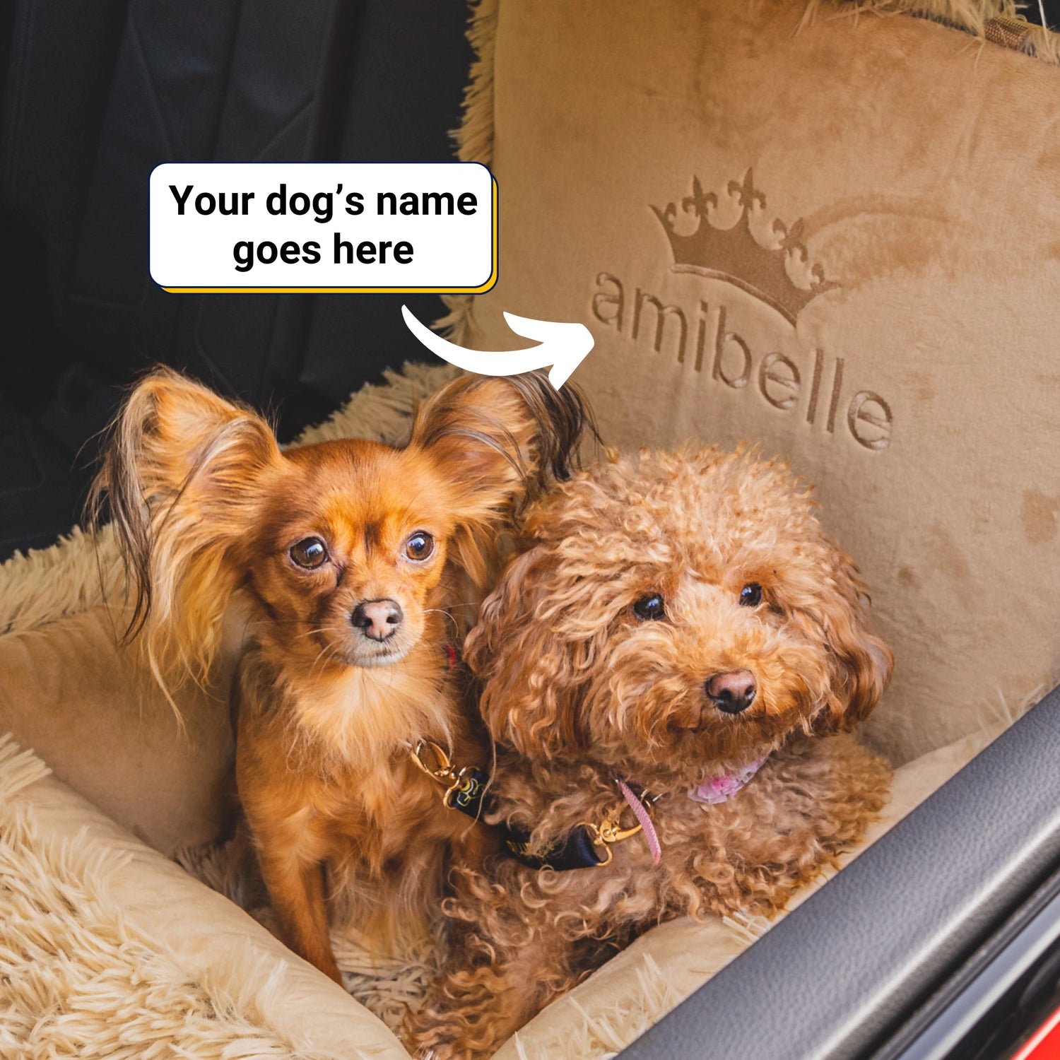 Another nice gift idea for a dog 🎁