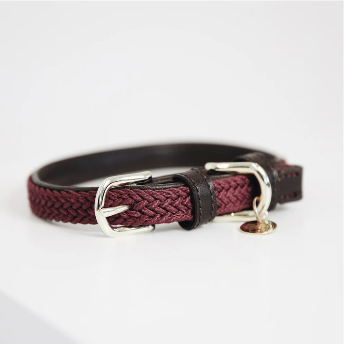 Hondenhalsband Gevlochten Nylon