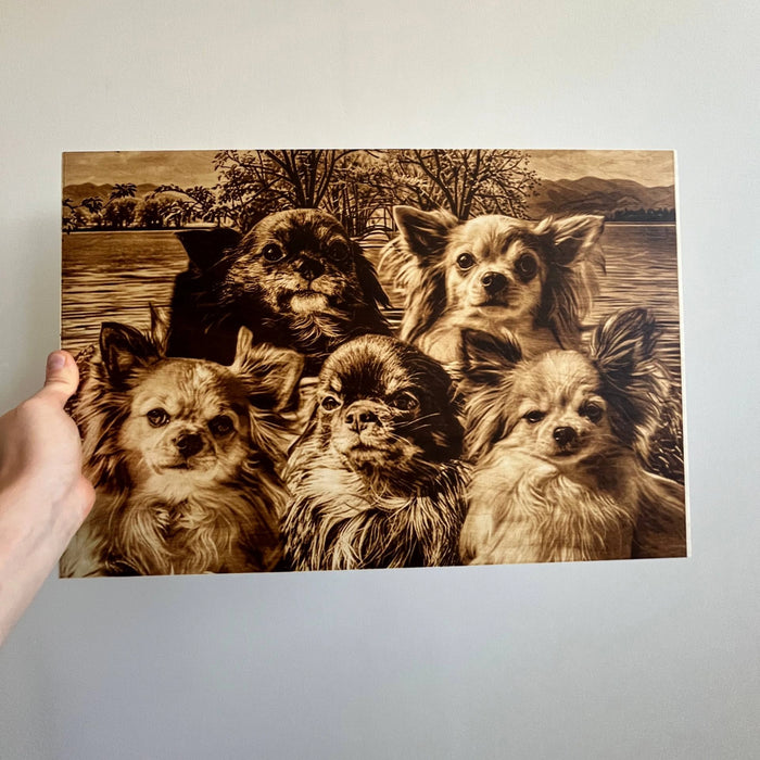 cadeau voor hond