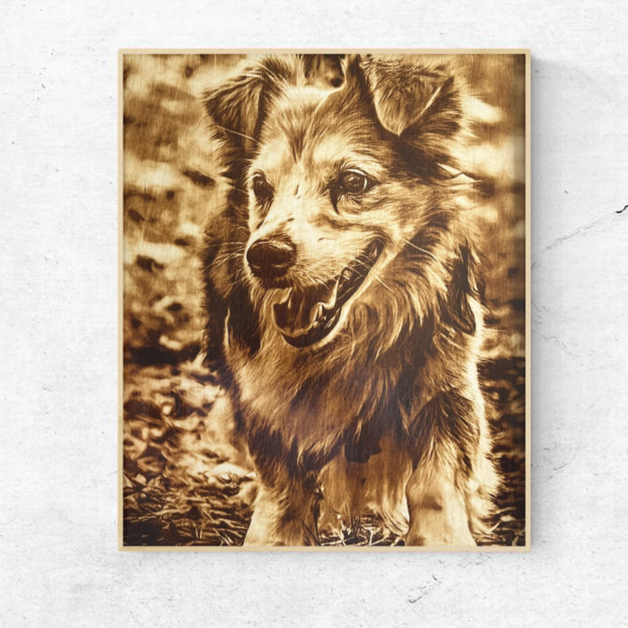 cadeau voor hond