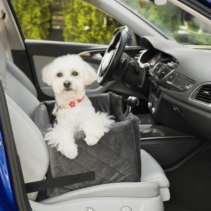 Outlet | Samt – Autositz für Hunde