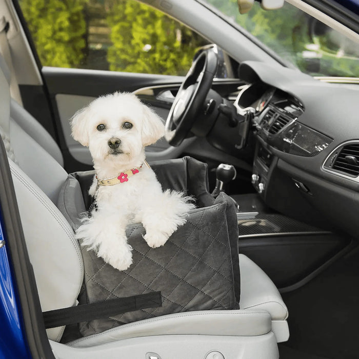 Velvet Black - Dog car seat - Orthopedic