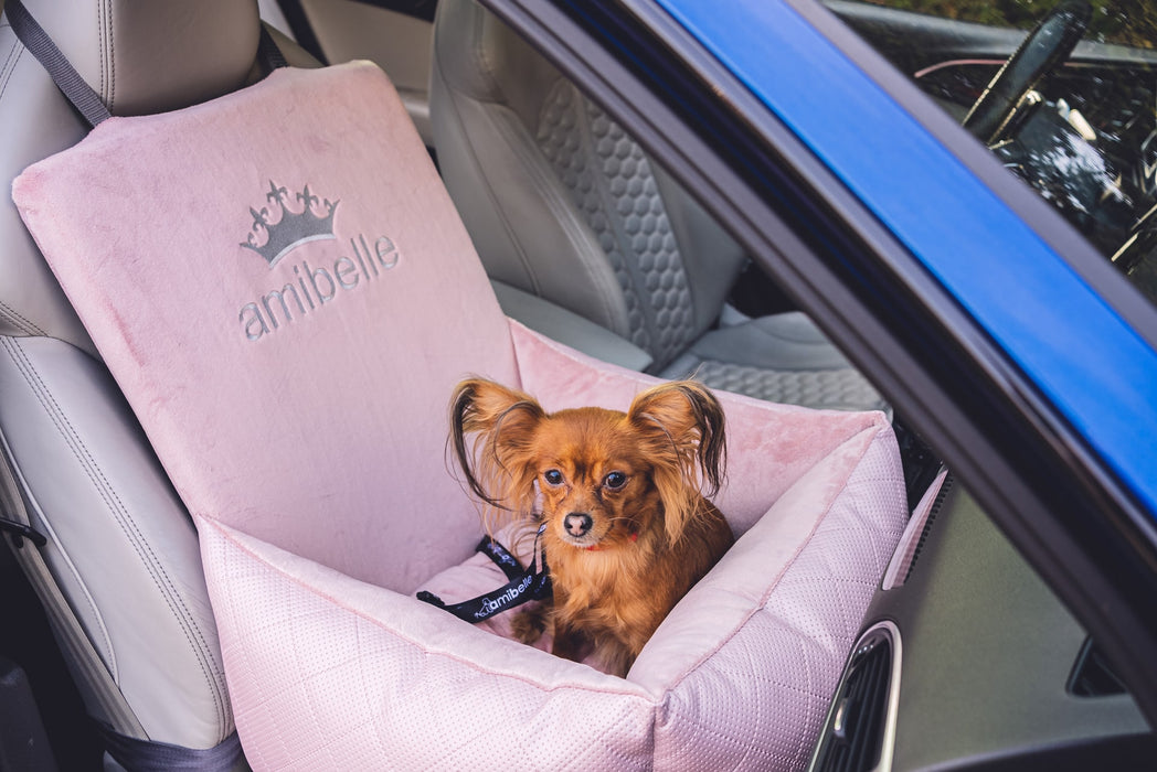Bella Rose - Dog car seat