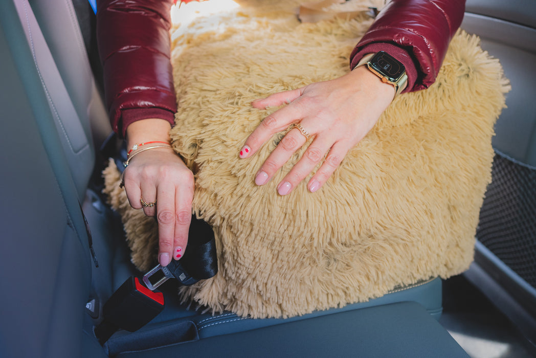 Bella Teddy - Dog car seat