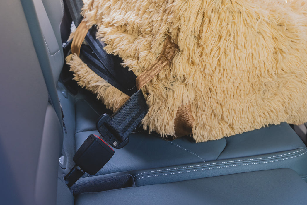 Bella Teddy - Dog car seat
