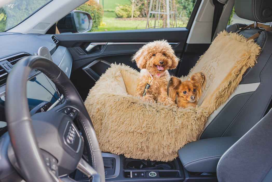 Bella Teddy - Autostoel voor honden