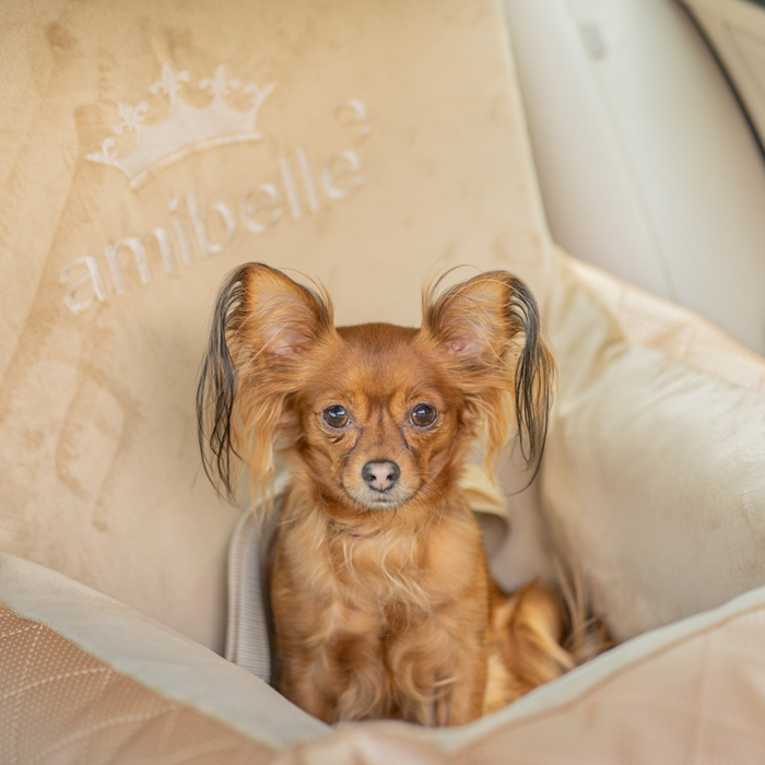 Bella Gold - Autostoel voor honden