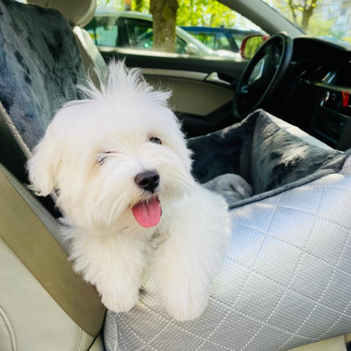 Bella Silver - Dog car seat