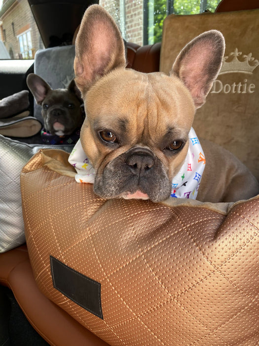 Personalised dog car seat