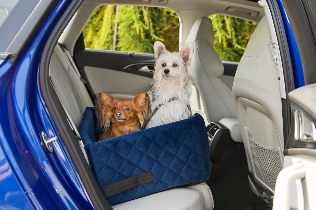 Velvet Blue - Dog car seat - Orthopedic