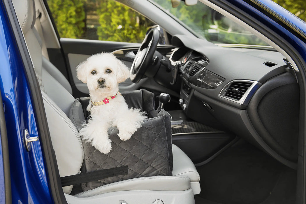 Velvet Silver - Dog car seat - Orthopedic